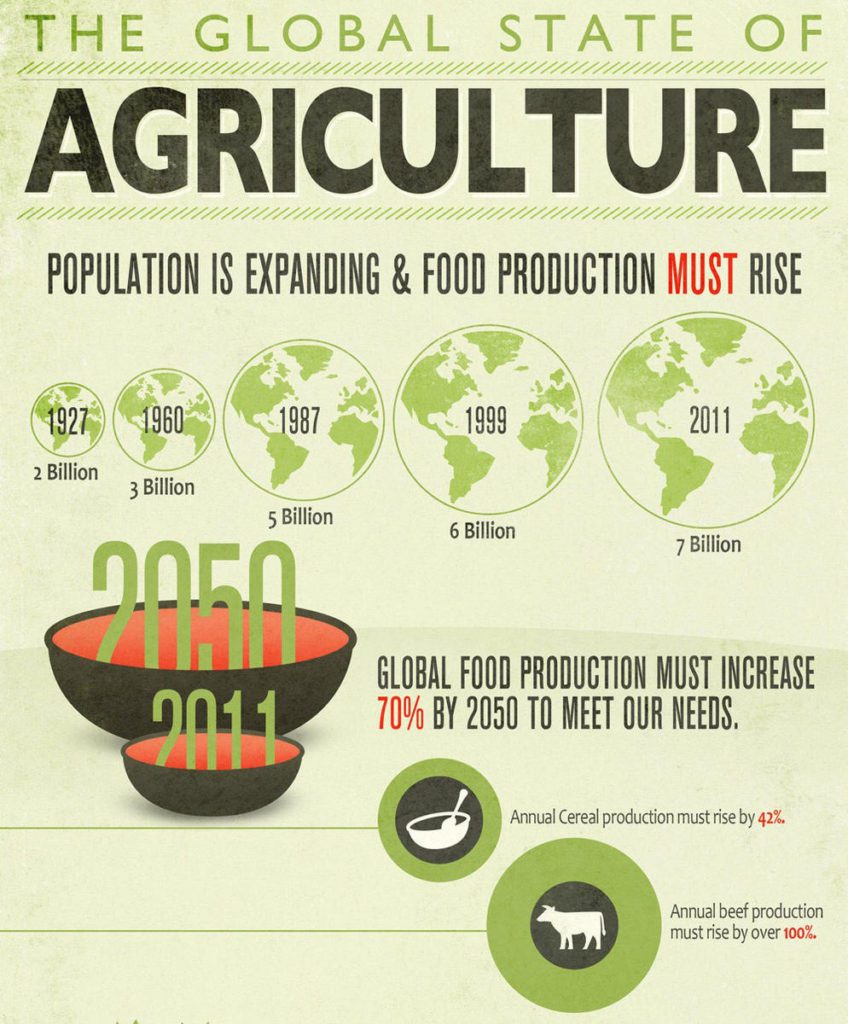 Food Production