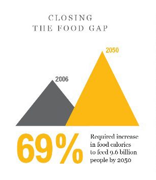 Food Gap