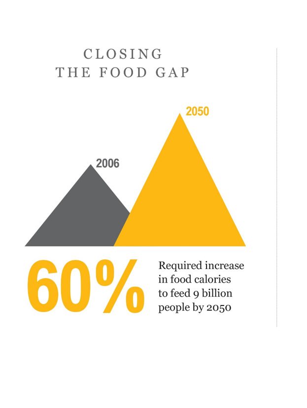 Food gap needs more Mason Bees