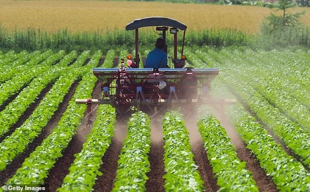 You think climate change is a problem for Mason Bees!