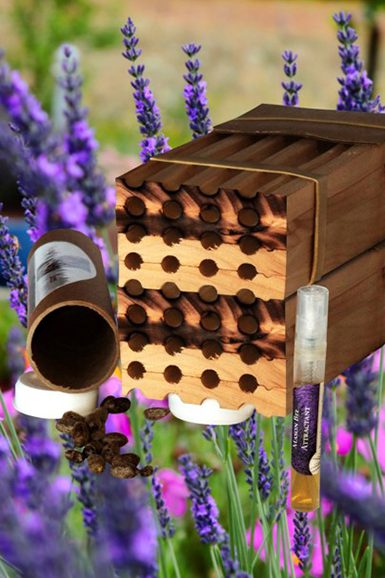 Mason Bee Two Nesting Blocks Kit