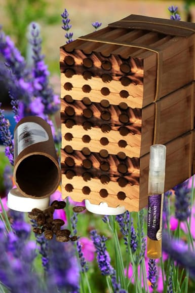 Mason Bee Three Nesting Blocks Kit