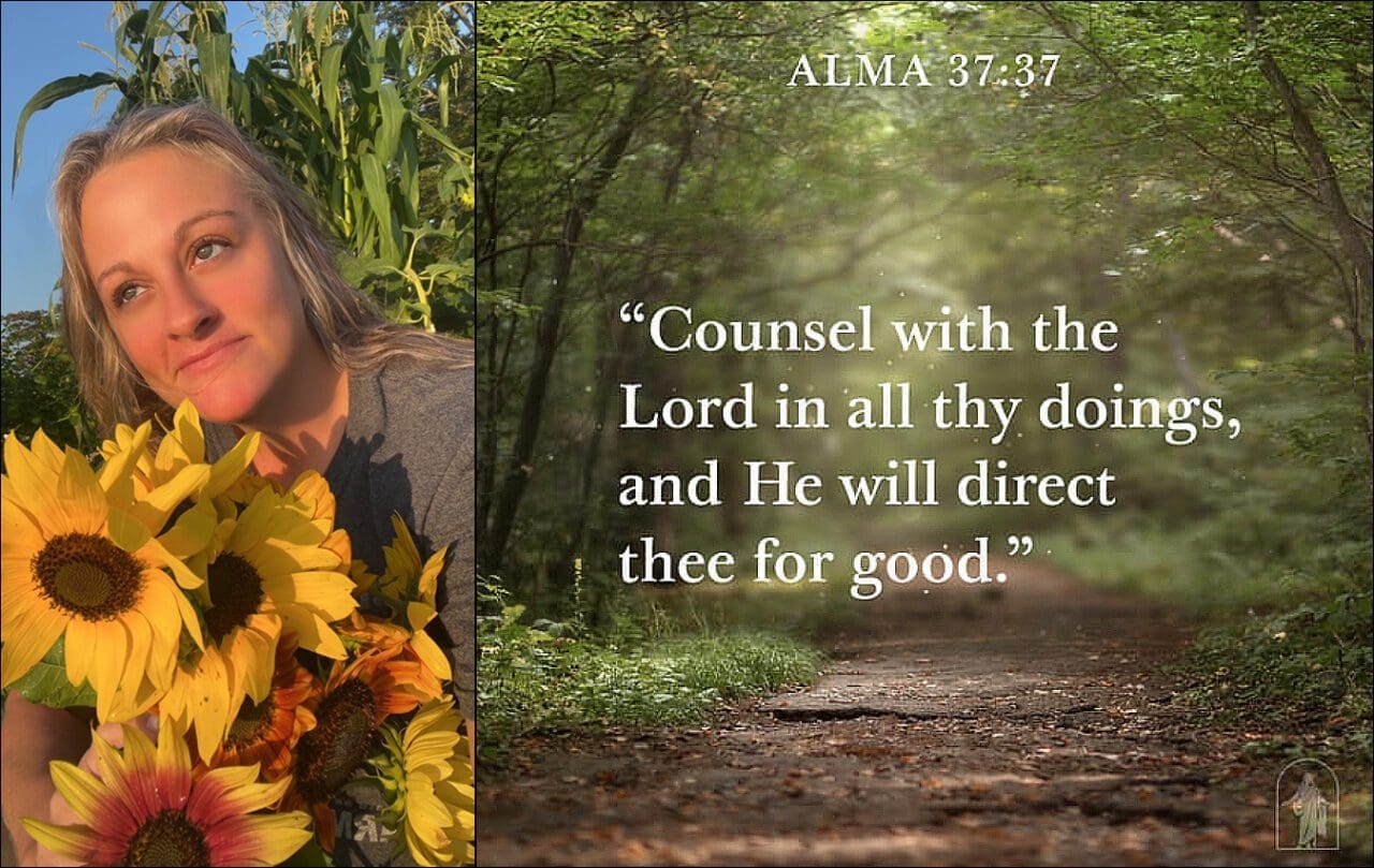 Sunshine & Lavender | Family-owned and operated.