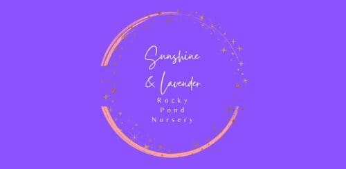 Sunshine and Lavender