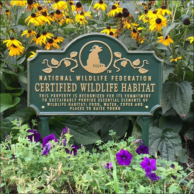 Certified Wildlife Habitat | Sunshine & Lavender