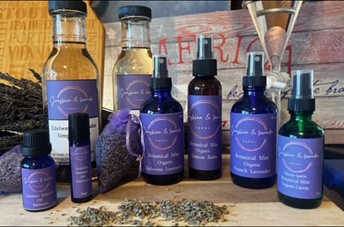 Sunshine and Lavender