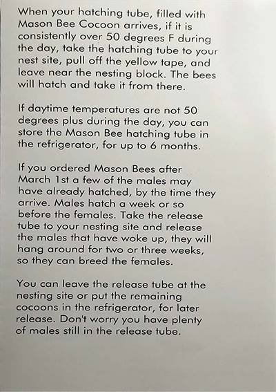 Mason Bees Guide
