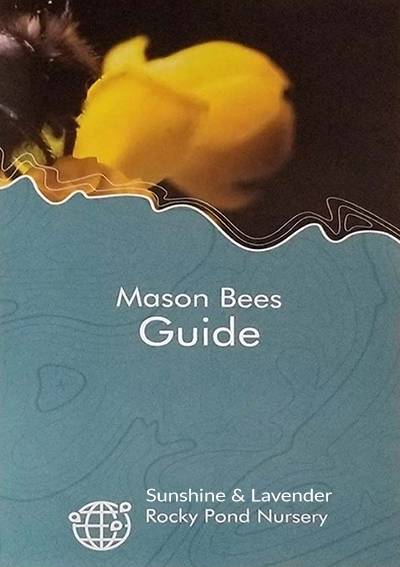 Mason Bees Guide