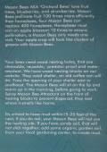 Mason Bees Guide